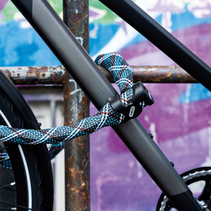 Anti-Theft Devices