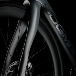 Road Forks