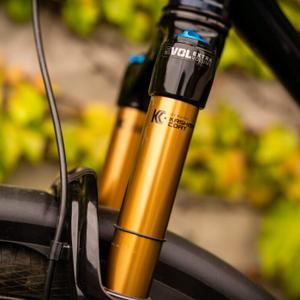 Mountain Bicycle Forks