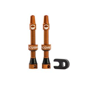 10012-10013-pair-of-tubeless-valves-cushcore-orange