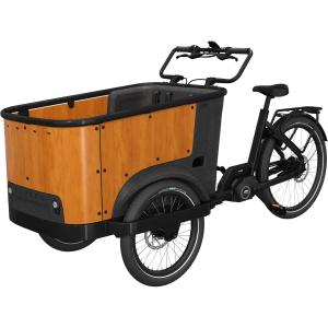 cb-u24001-electric-bike-cangoo-buckle-up-black-wood-one-size