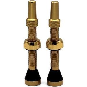 cp-al44-r-gold-aluminium-rim-valve-captain-protect-gold-44-mm