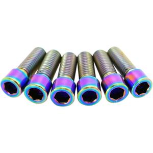 tlc0003-screw-for-bracket-tlc-bikes-metric-titanium-rainbow-one-size