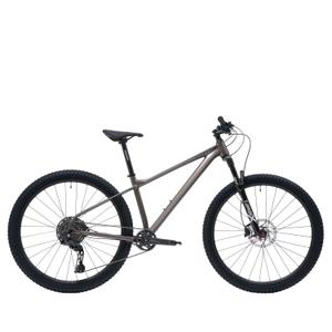 rambler-17-gris-mountain-bike-welt-rambler-grey