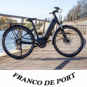 513656-electric-bike-wheelyoo-bosch-matte-black-28