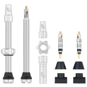w-tlv-kit60-rsil-tubeless-valve-stem-kit-wolf-tooth-silver